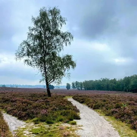 Getaway With Garden In Gelderland *