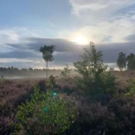 Getaway With Garden In Gelderland