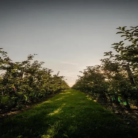 Getaway With Garden In Gelderland * זלהם