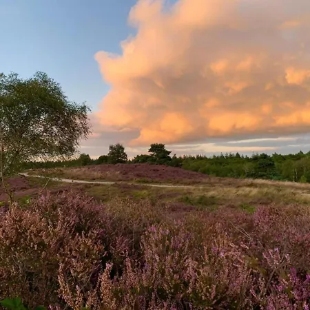 בית נופש Getaway With Garden In Gelderland זלהם