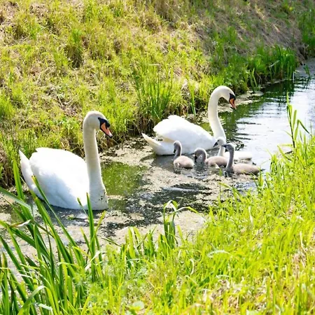 Getaway With Garden In Gelderland *