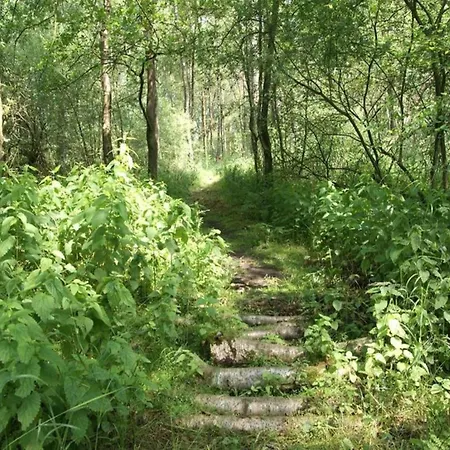Getaway With Garden In Gelderland זלהם
