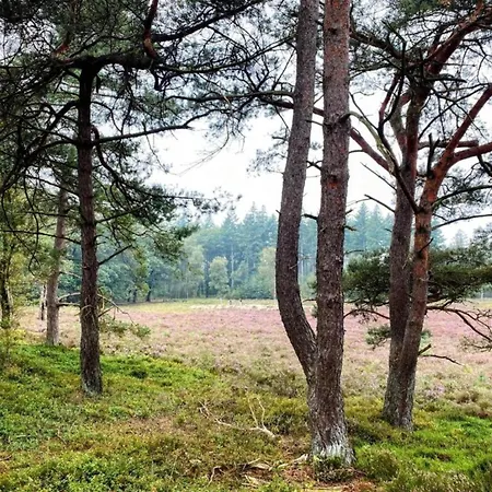 Getaway With Garden In Gelderland זלהם